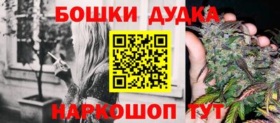 МДПВ Лесосибирск